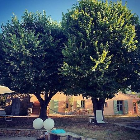 Bastide Provencale De Charme A La Cote D'Azur Villa Callian  Ngoại thất bức ảnh